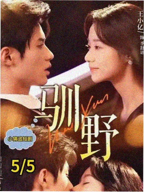 山河故人书 完结封面